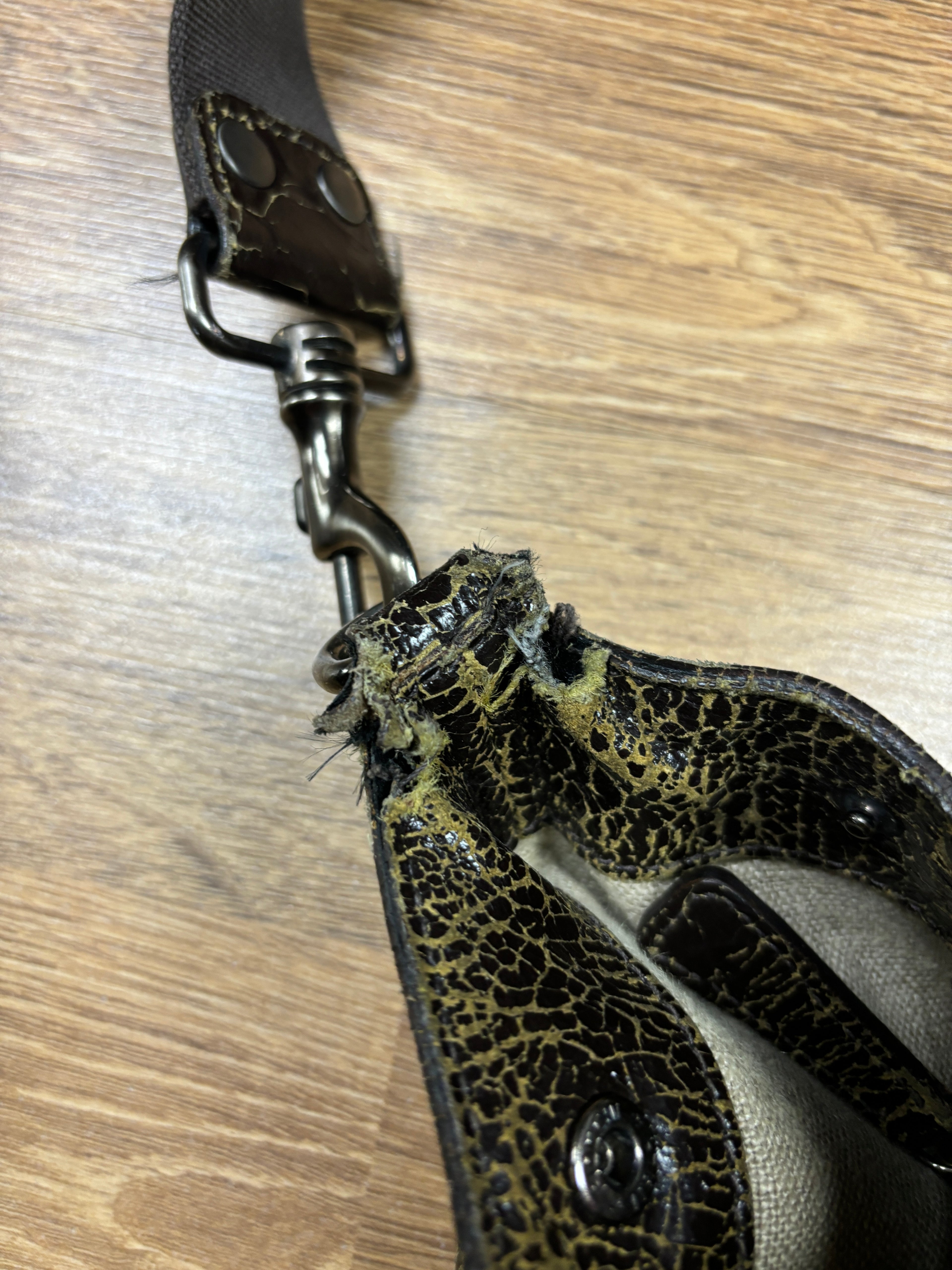Miu Miu Logo Canvas & Crackled Leather Shoulder Bag